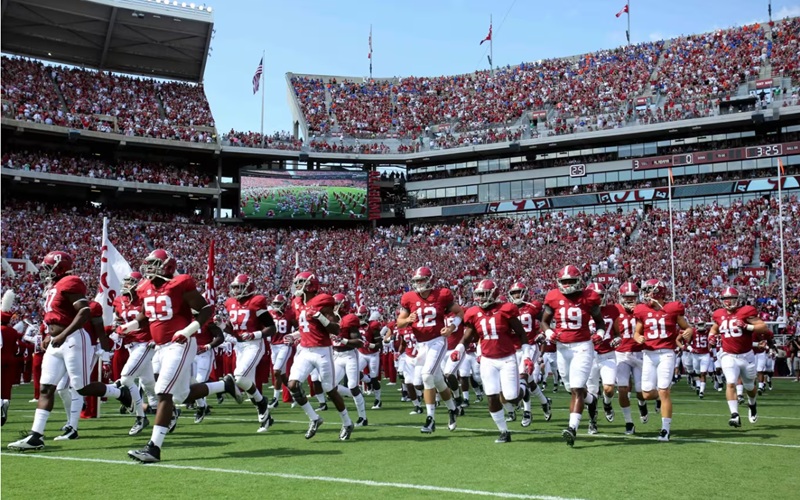 从阿拉巴马到水晶宫：克里斯·理查兹的崛起与2026世界杯前景(pic3)